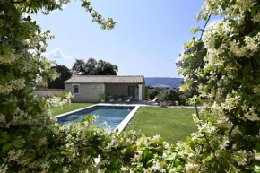 Les Agapanthes de Gordes
